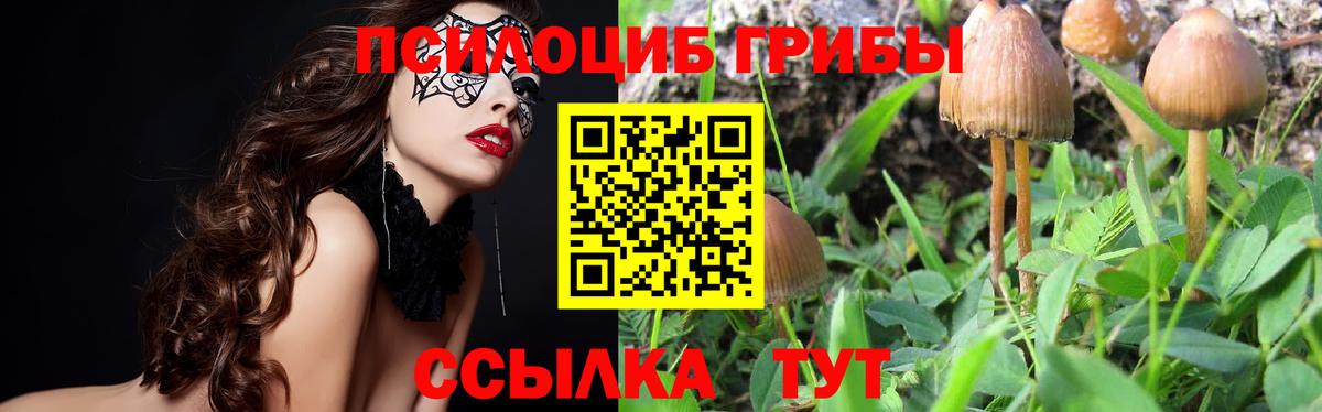Псилоцибиновые грибы Magic Shrooms  Вход с VPN  Всеволожск 